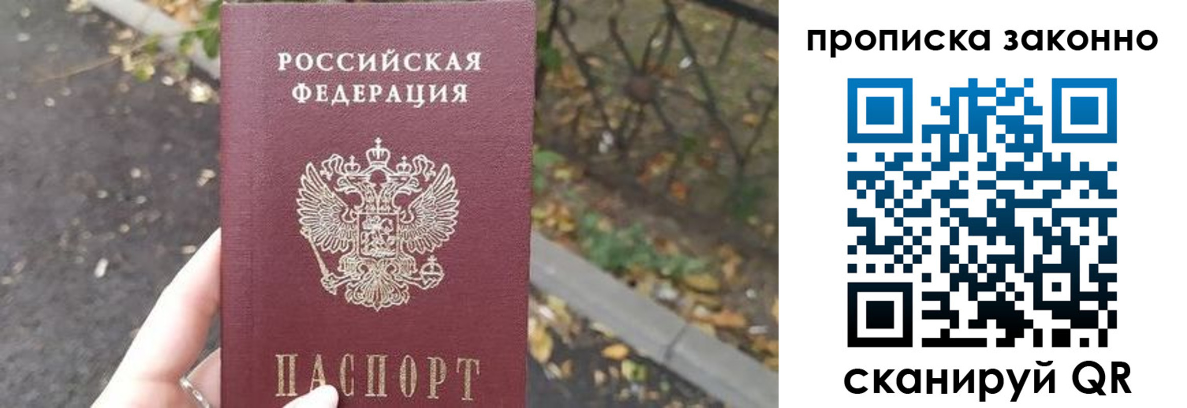 прописка для школы в Соколе